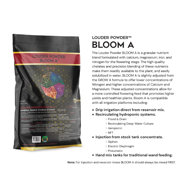 Bloom A