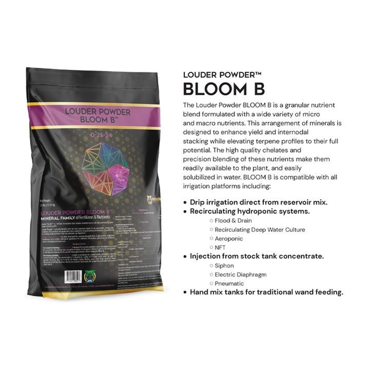 Bloom B