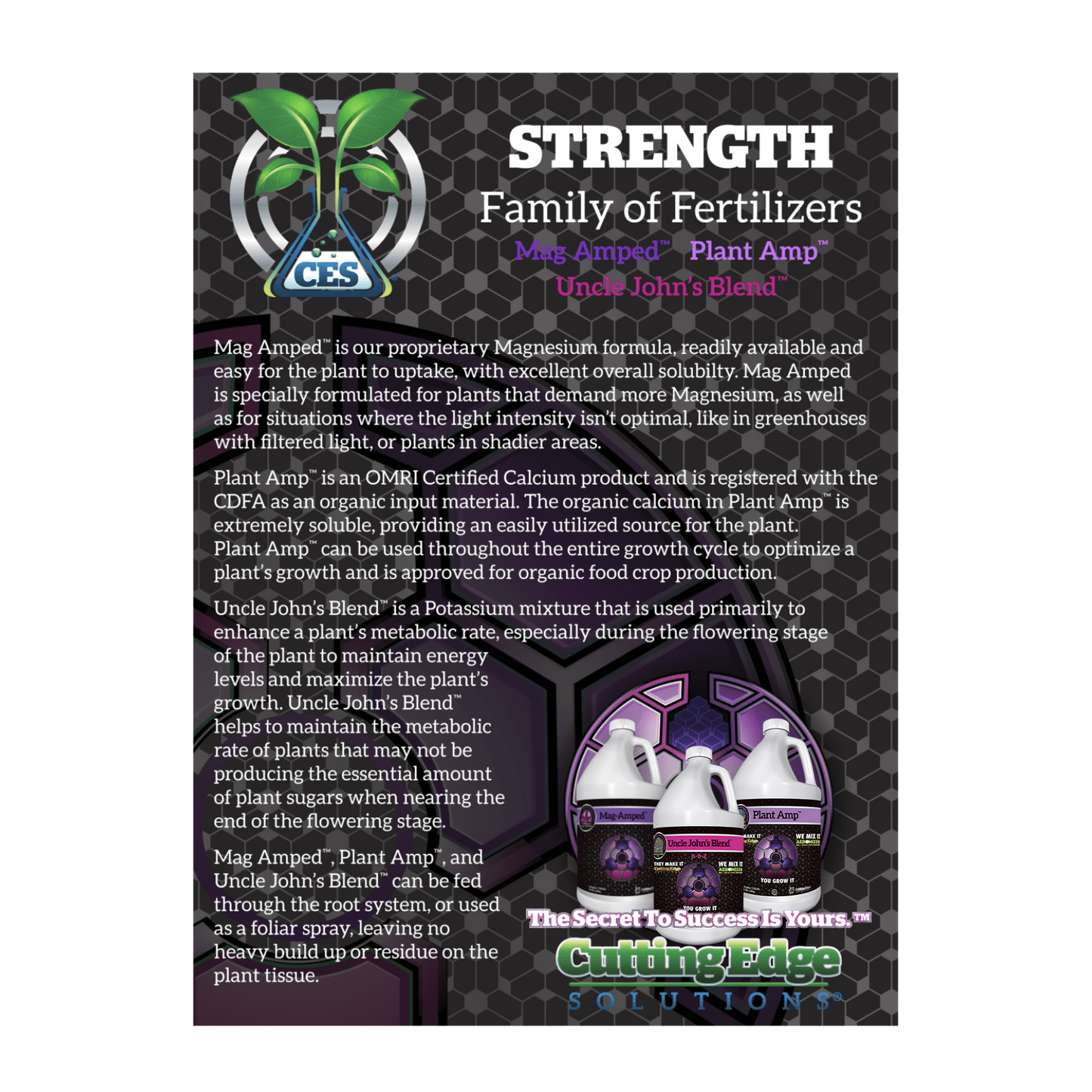 Strengthening Family