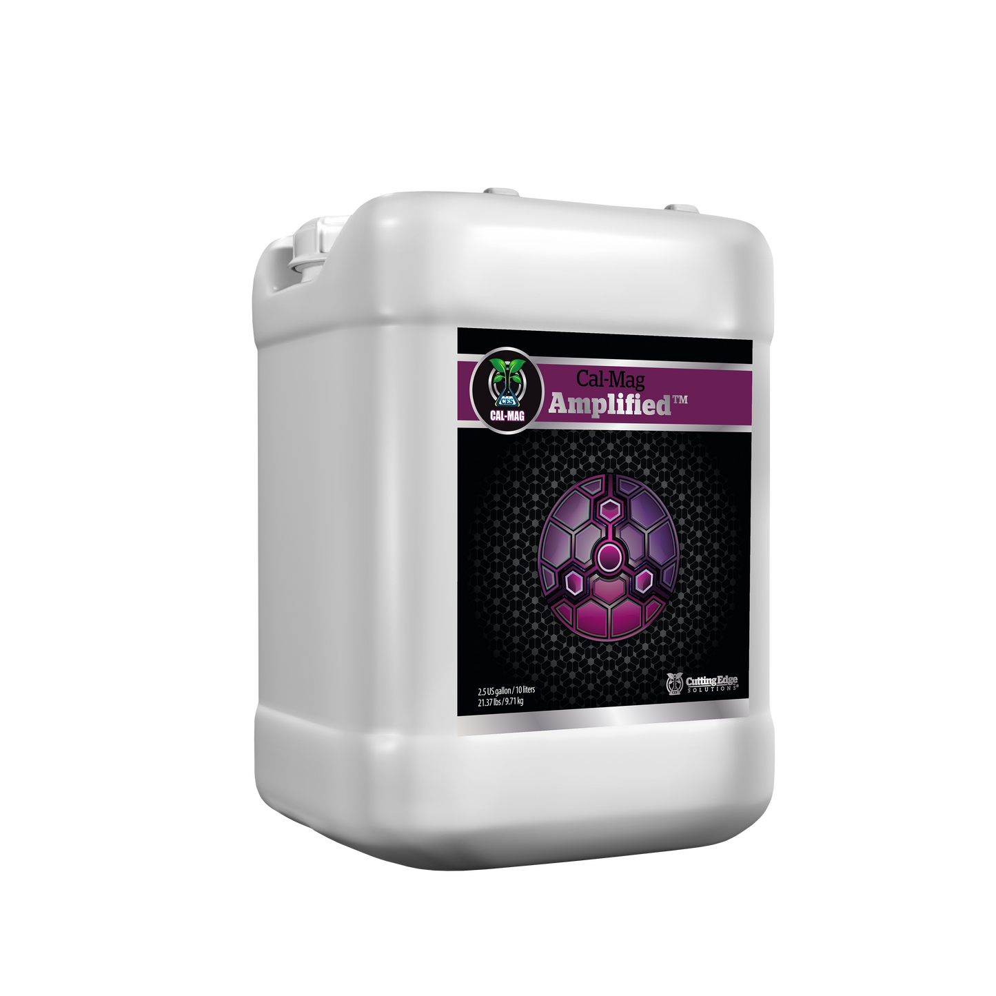 Strengthening Family