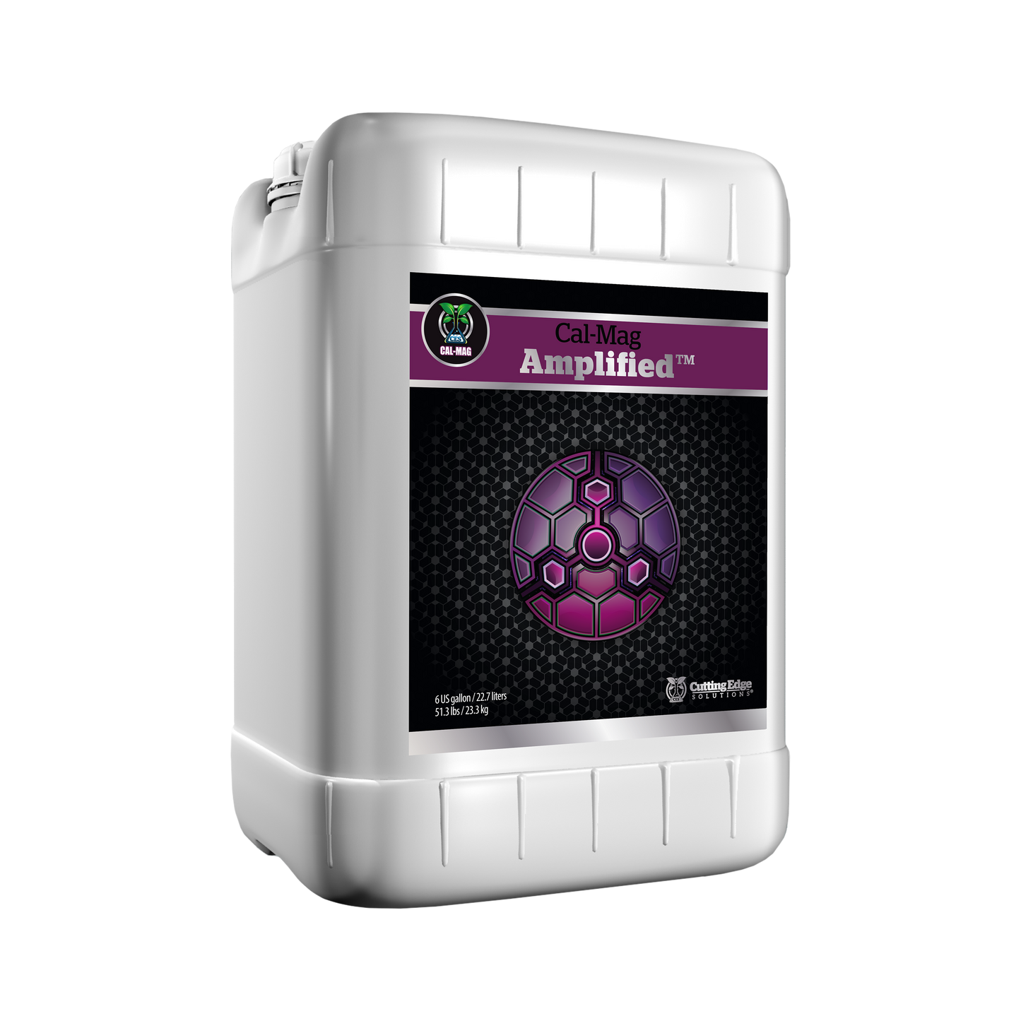 Strengthening Family