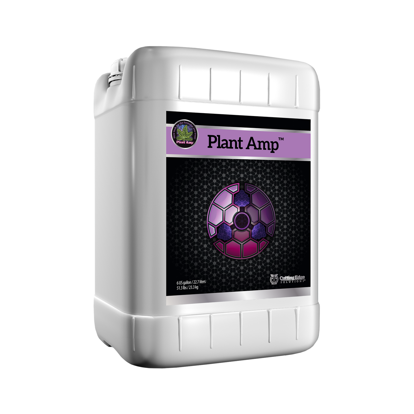 Strengthening Family