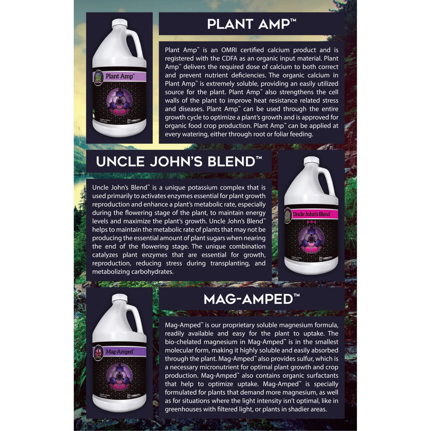 Strengthening Family