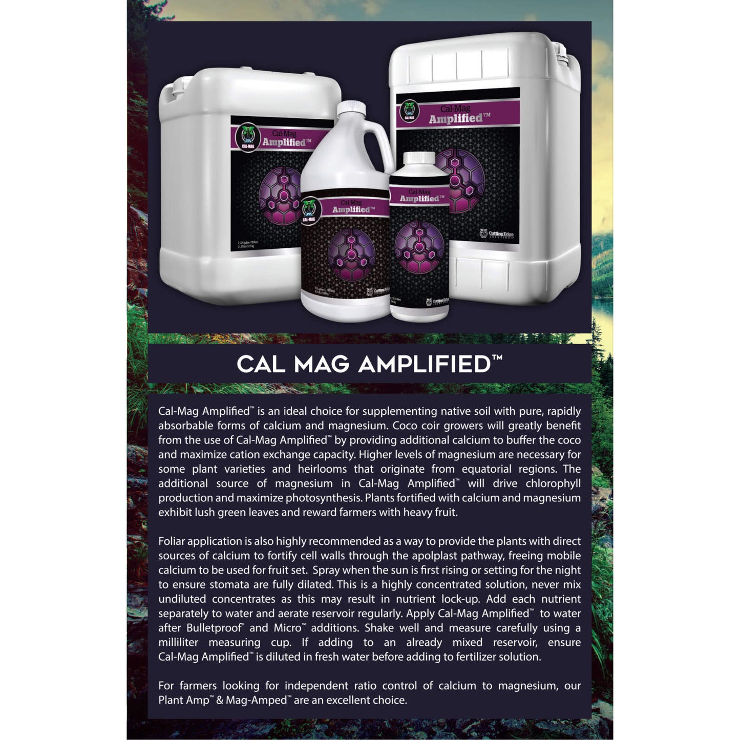 Strengthening Family