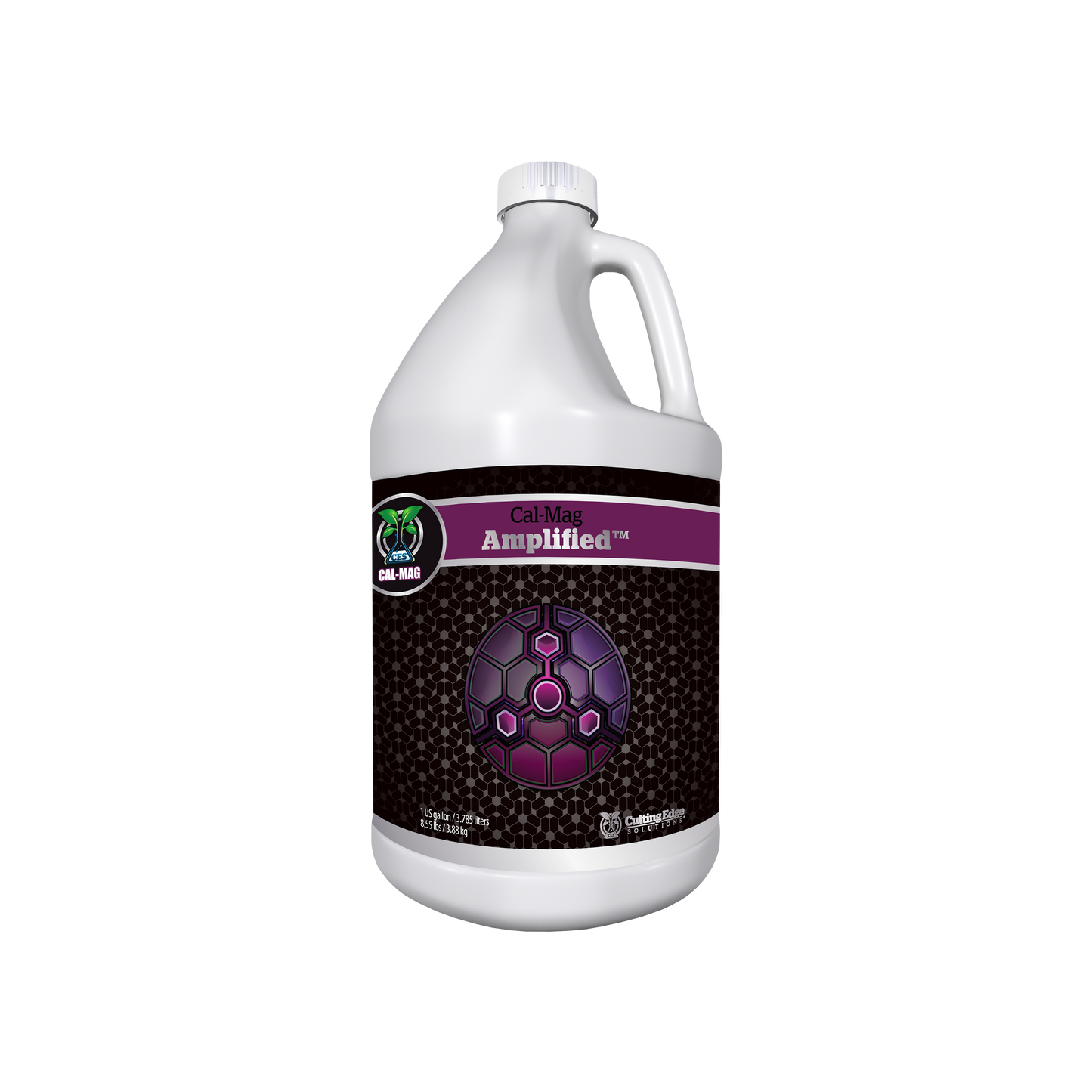 Strengthening Family